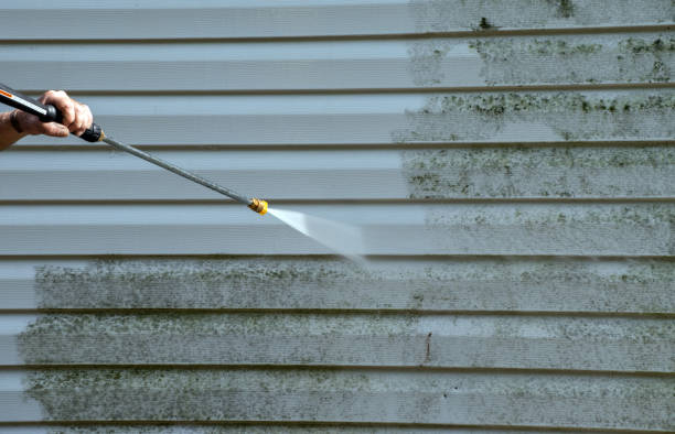 Best Mold Remediation for Specific Building Types in Mount Vernon, TX