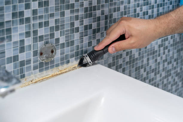 Best Emergency Mold Remediation in Mount Vernon, TX